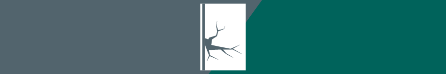 A wall with a crack in it on a grey and teal background